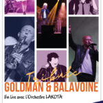 Goldman Balavoine – Le tribute
